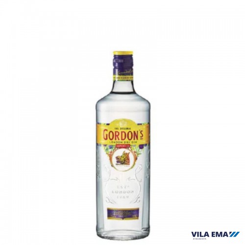 GIN GORDONS 12X750ML