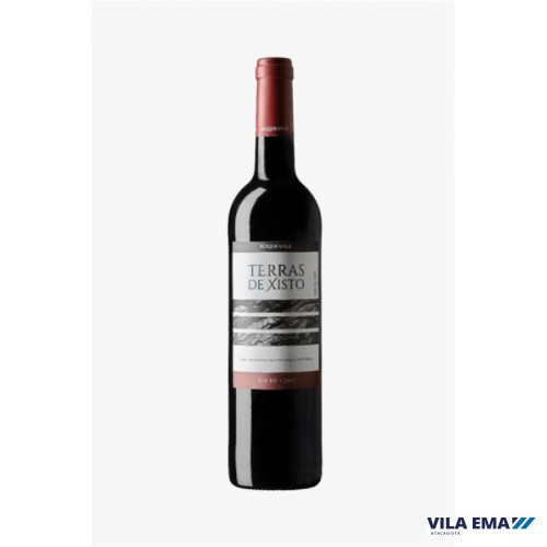 VINHO TERRAS DE XISTO TN TTO 6X750ML