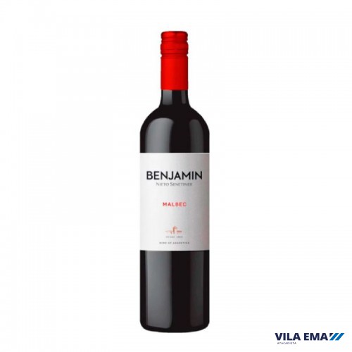 VINHO ARG BENJAMIN NIETO TTO MALBEC 6X750ML