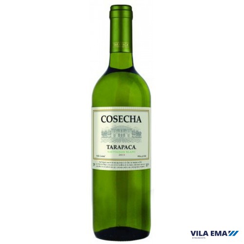 V TARAPACA COSECHA BCO SAUV BLANC 12X750ML