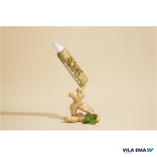 ESPUMA GENGIBRE BEGIN 12X240G