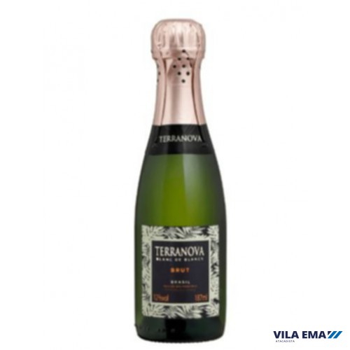 ESPUMANTE TERRANOVA BRUT BCO 24X187ML