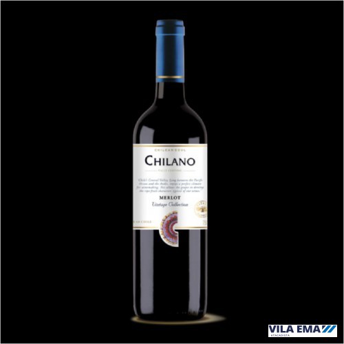 V CHI CHILANO RESERVADO MERLOT 12X750ML