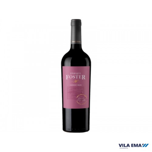 V ARG ENRIQUE FOSTER SINGLE CAB FRANC TTO VINEYARD LOS ALTEPES 6X750ML