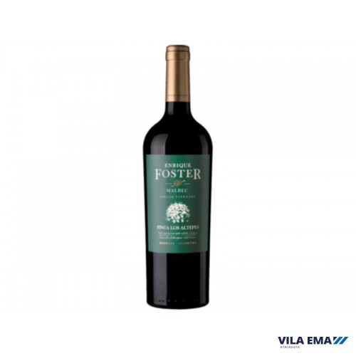 V ARG ENRIQUE FOSTER SINGLE MALBEC TTO VINEYARD LOS ALTEPES 6X750ML