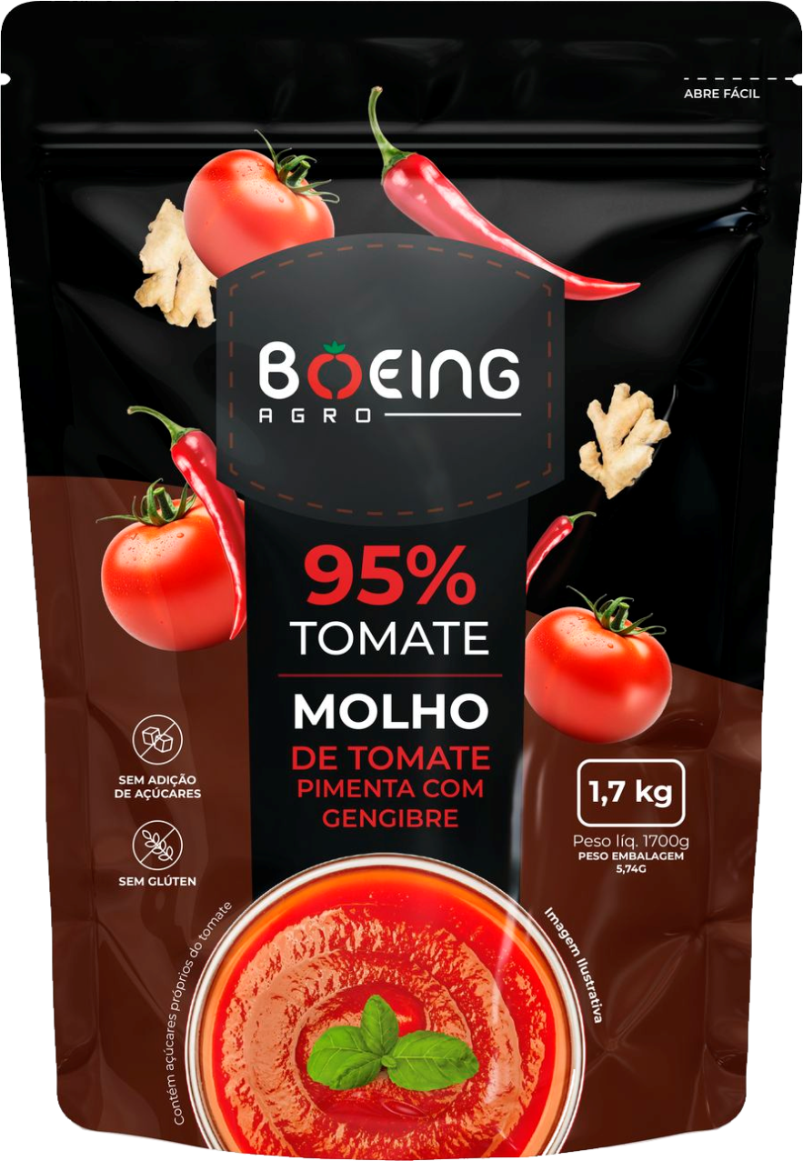 MOLHO DE TOMATE BOEING GENGIBRE E PIMENTA 8X1,7KG