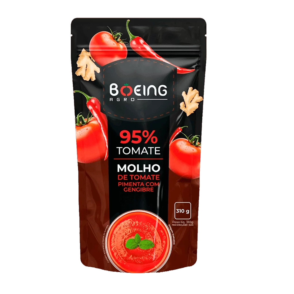 MOLHO BOEING GENGIBRE COM PIMENTA 24X310GR