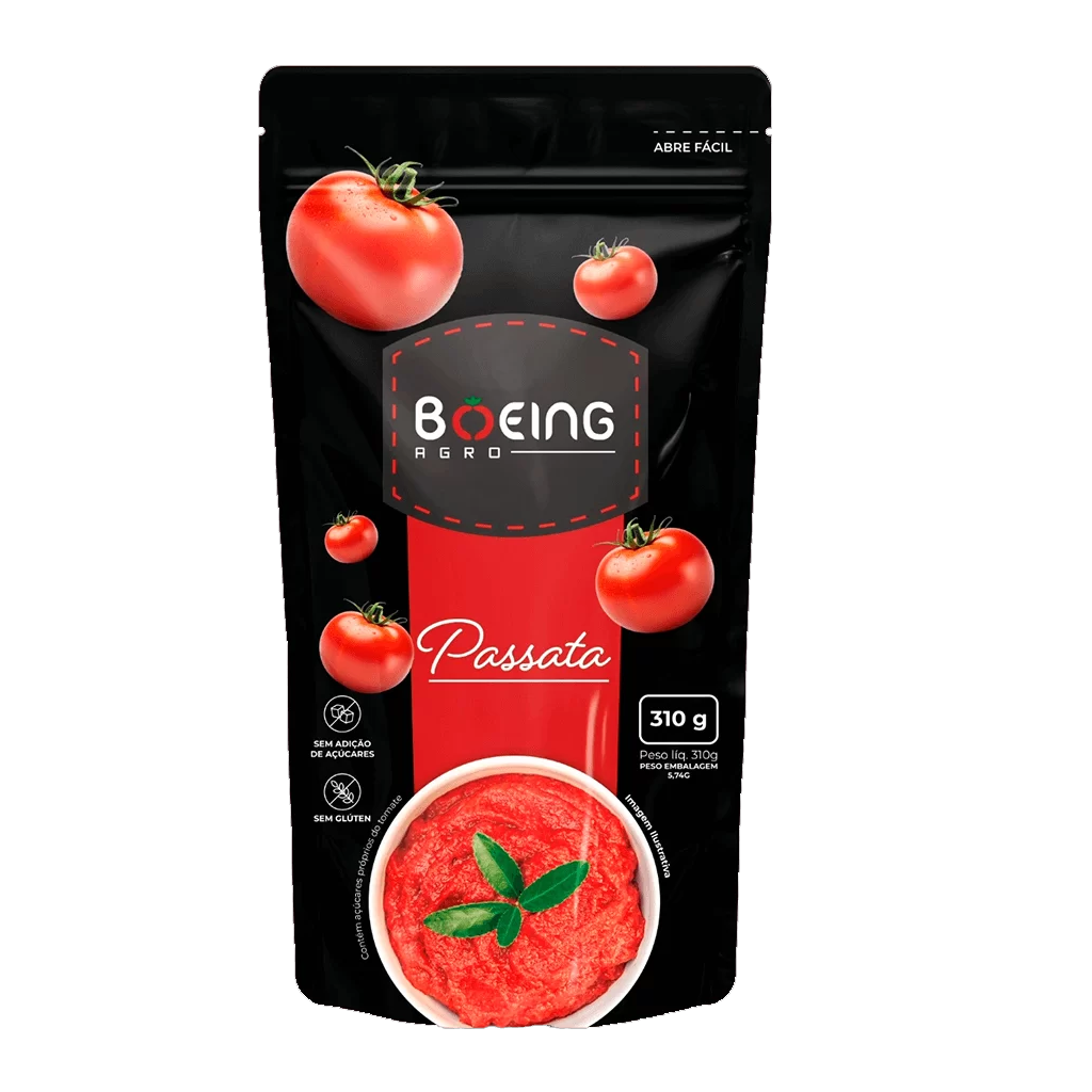 PASSATA BOEING POUCH 24X310GR